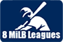 8 MiLB leagues